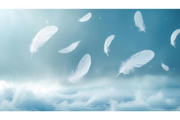 A Group of White Feathers Floating