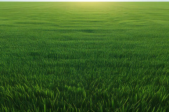 A Large Field of Grass: A Versatile Background for Creative Workflows