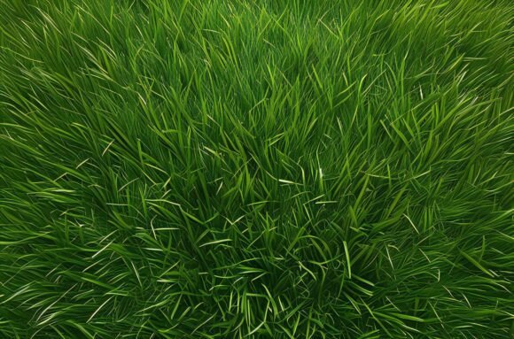 Enhance Your Creative Projects with a Close-Up of Grass