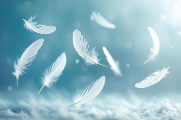 White Feathers Falling in the Air